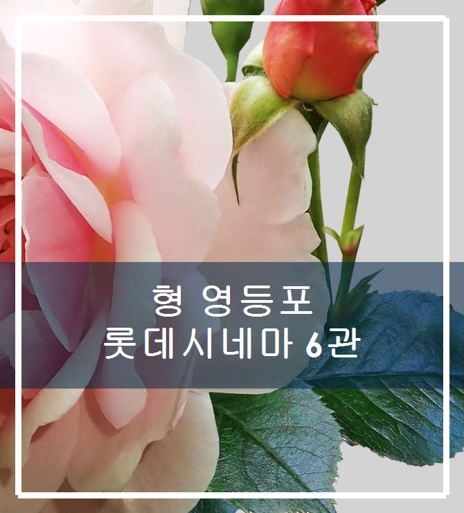 롯데시네마 영등포 6관 이미지