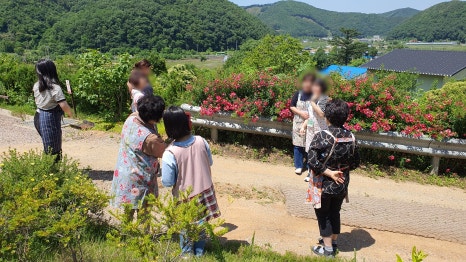 호두가족 이미지