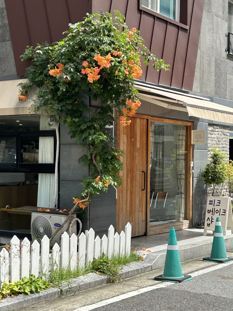 피크베이크샵 이미지