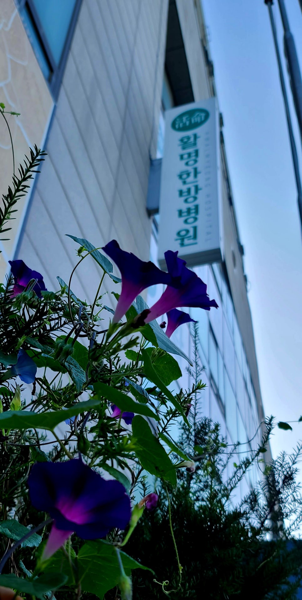 라온나무병원 이미지