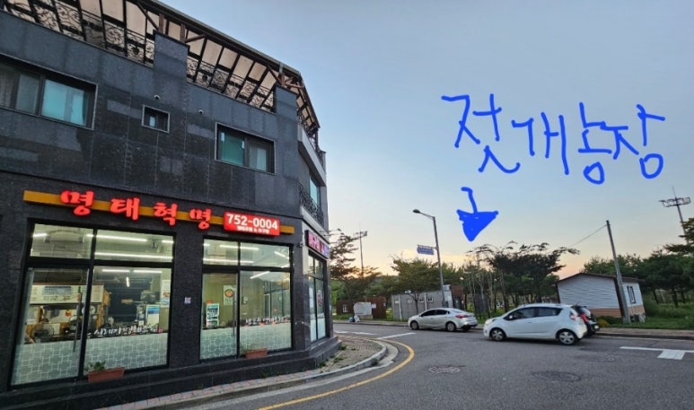명태혁명 이미지
