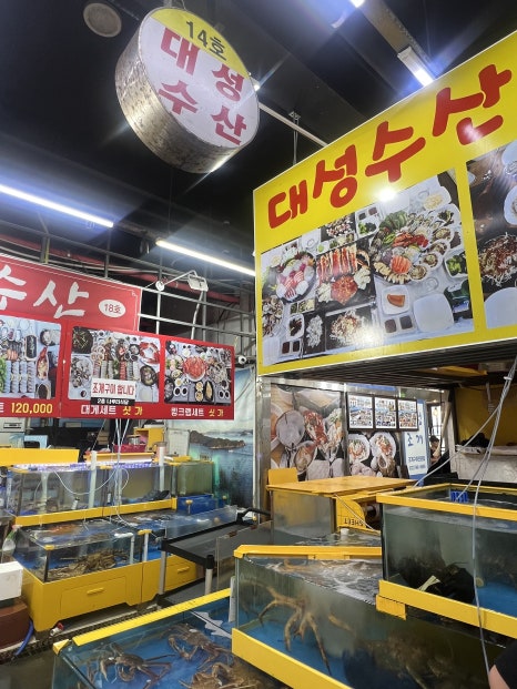 대성수산14호 이미지
