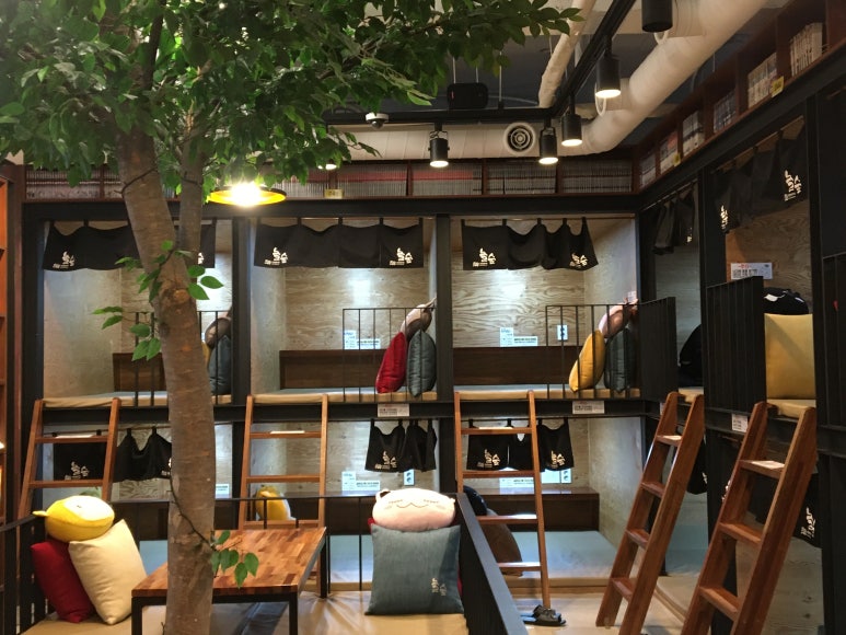 놀숲남양주 이미지