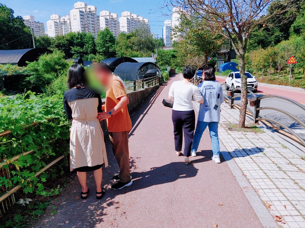 시각문화 이미지
