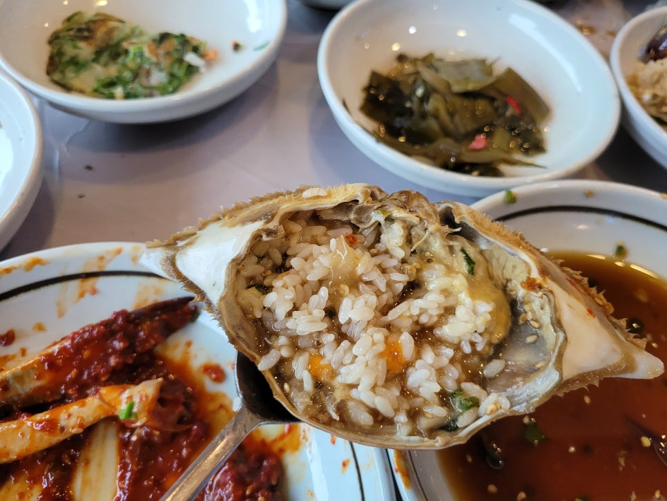 이게밥도둑 이미지