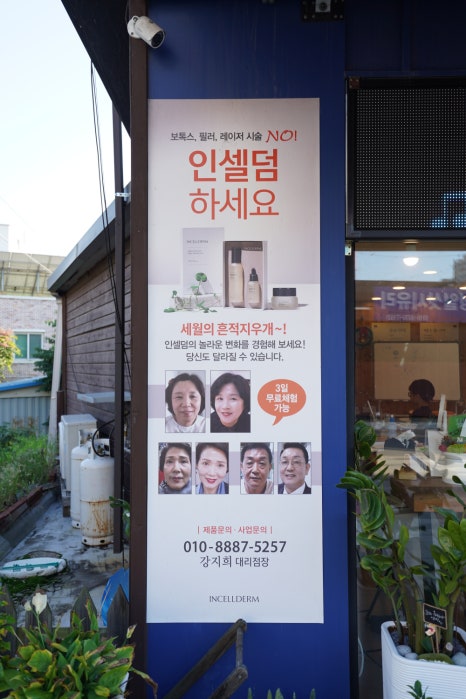 인셀덤샤인 이미지