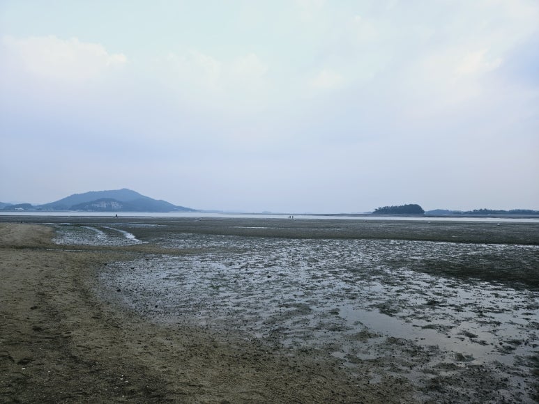 톱머리리조트 이미지