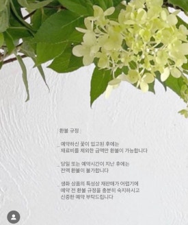 플레르드메 이미지