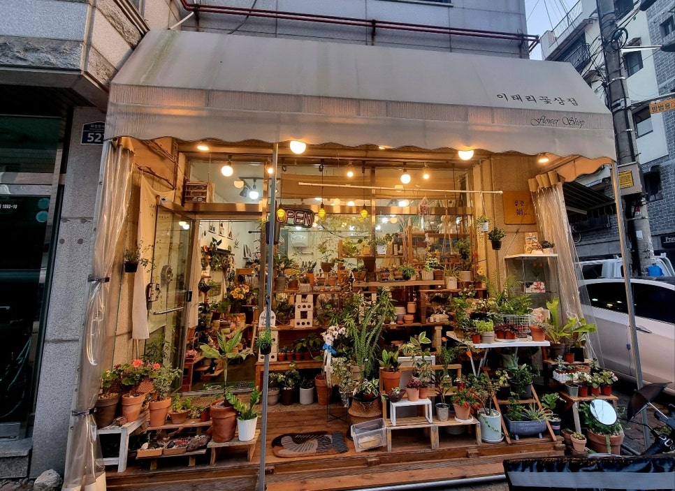 이태리꽃상점 이미지
