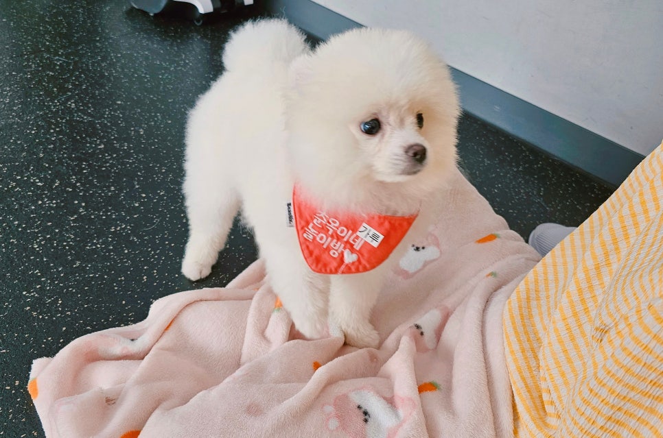 춘옥이네 이미지