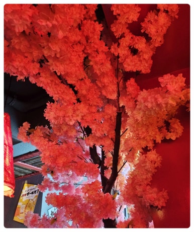 오끼 의정부점 이미지