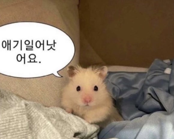 스시우미 이미지