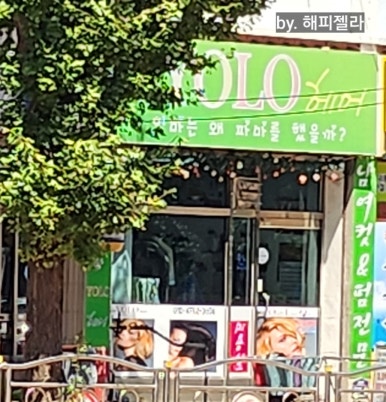 욜로헤어 이미지