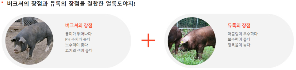 영미트팜 이미지