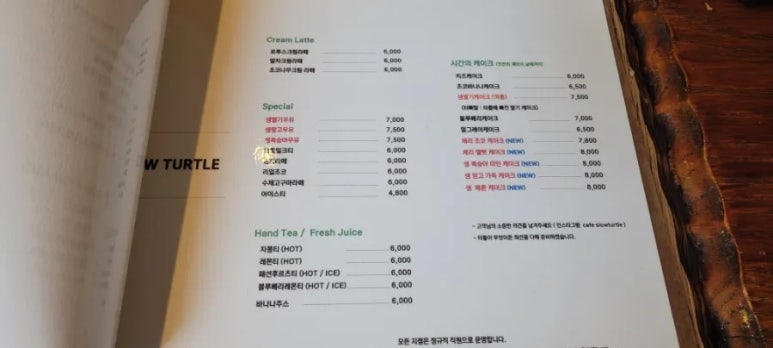 슬로우터틀 이미지