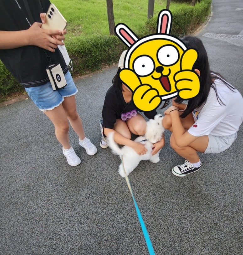 오백샵 이미지