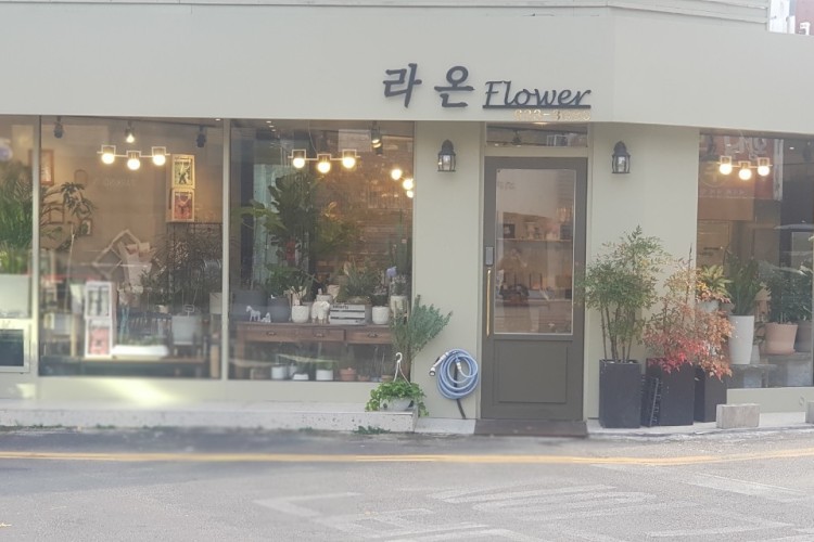 라온플라워 이미지