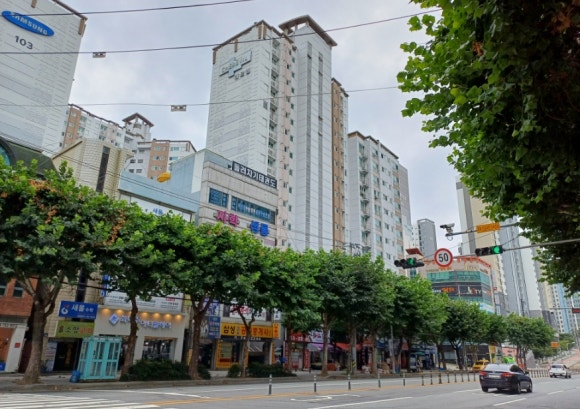 삼성장원 이미지