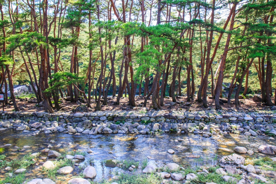 명승테크 이미지