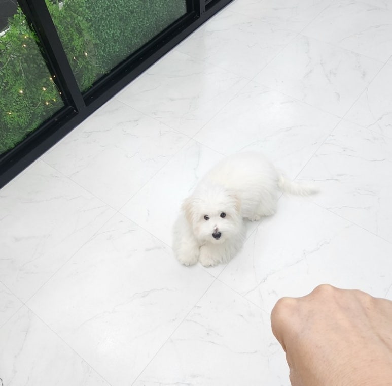 오백샵 이미지