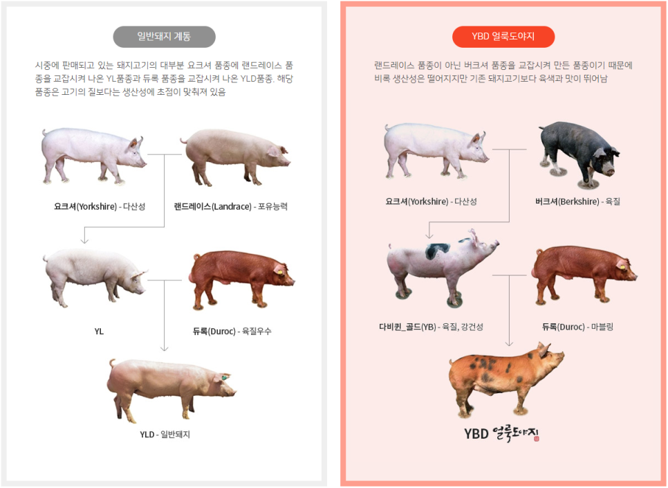 영미트팜 이미지