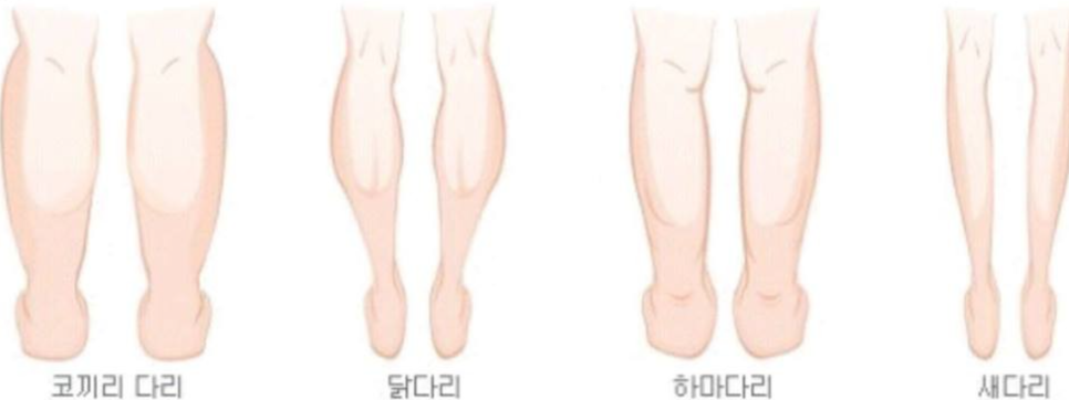 마루(MARU) 이미지