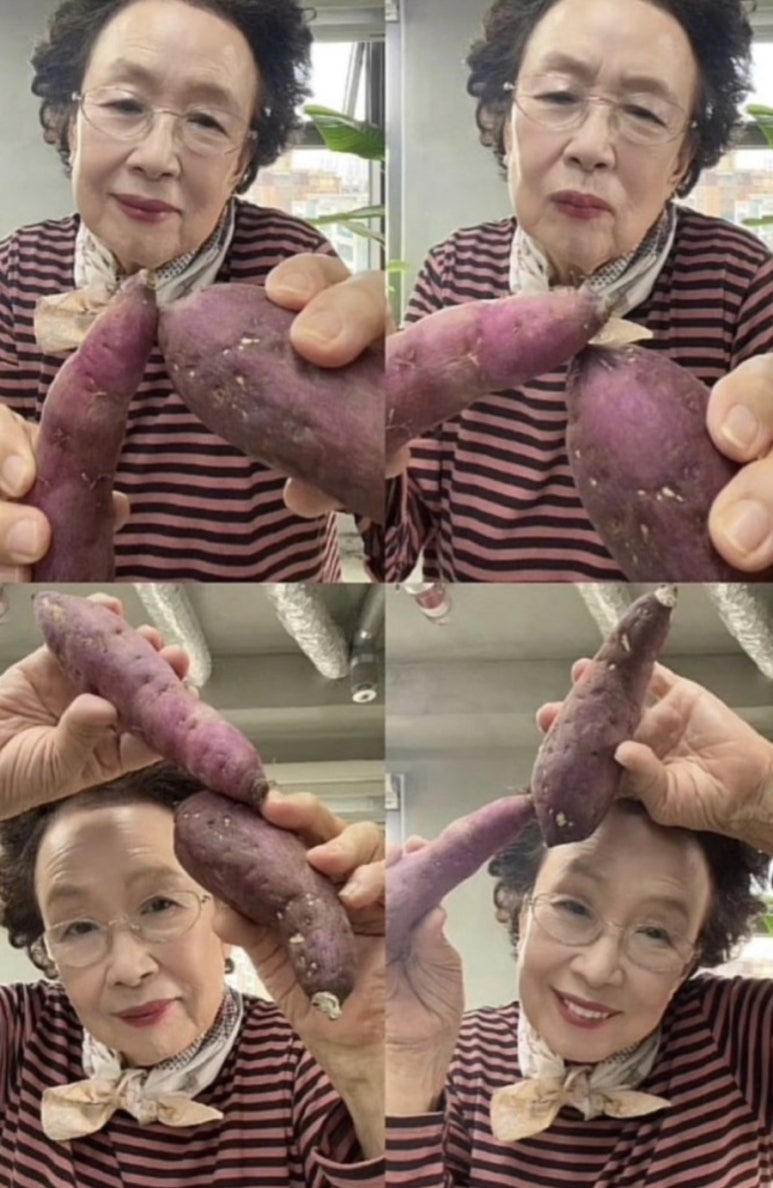 비전스트롤 이미지
