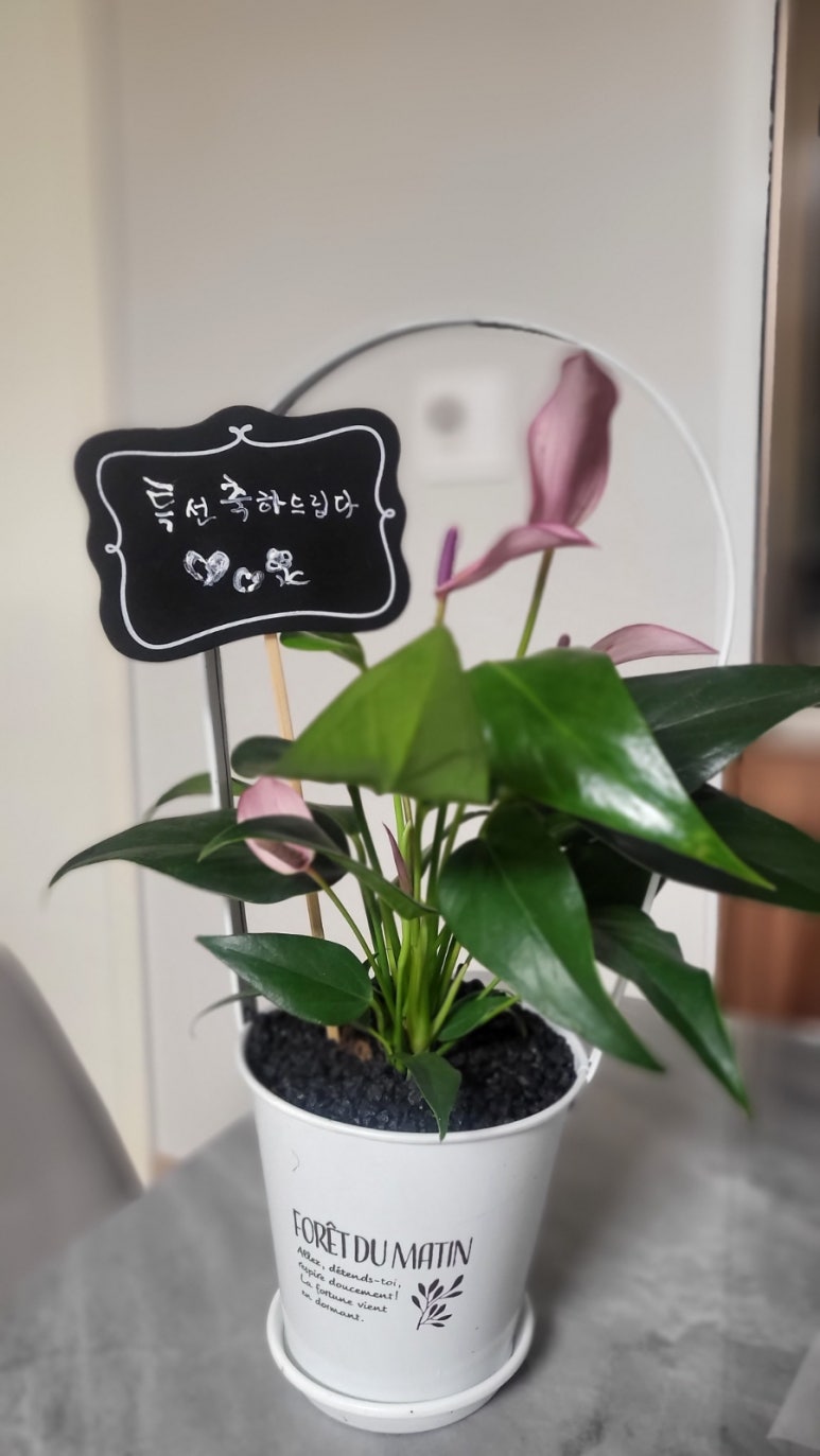 소예캘리그라피 이미지