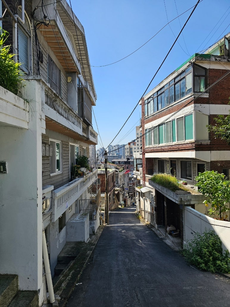 상주식당 사진 8