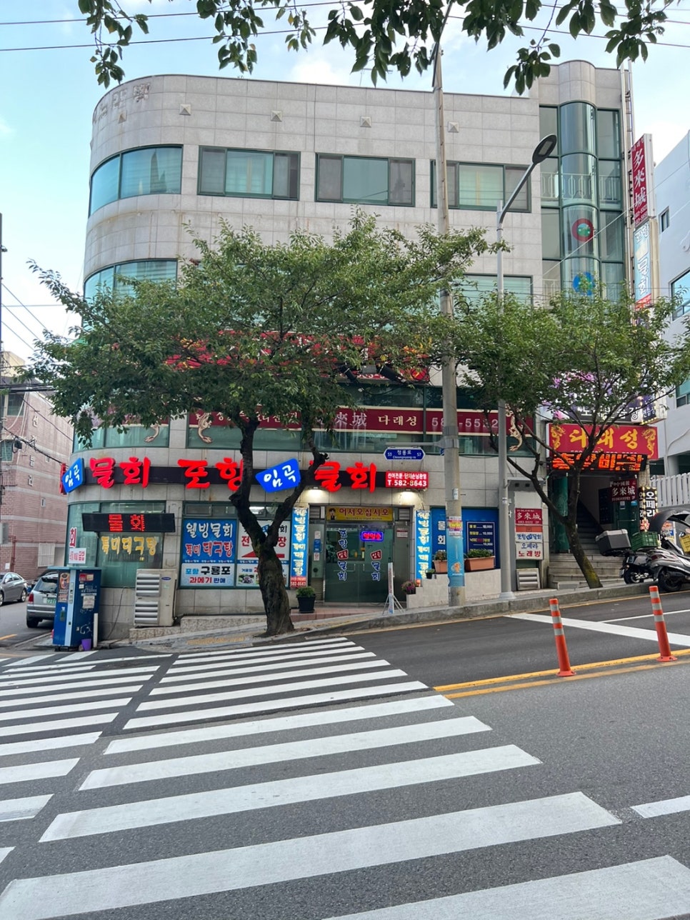 포항임곡물회 이미지