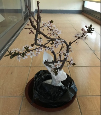 (주)솔매 이미지