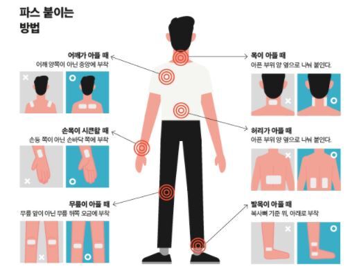 더파스 이미지