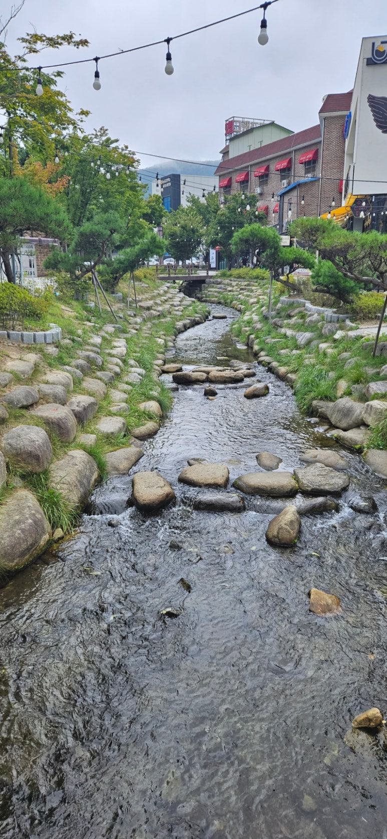 황지식당 이미지