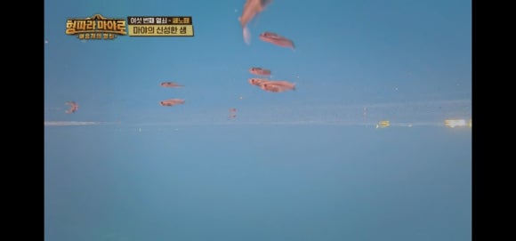 행복짬뽕 이미지