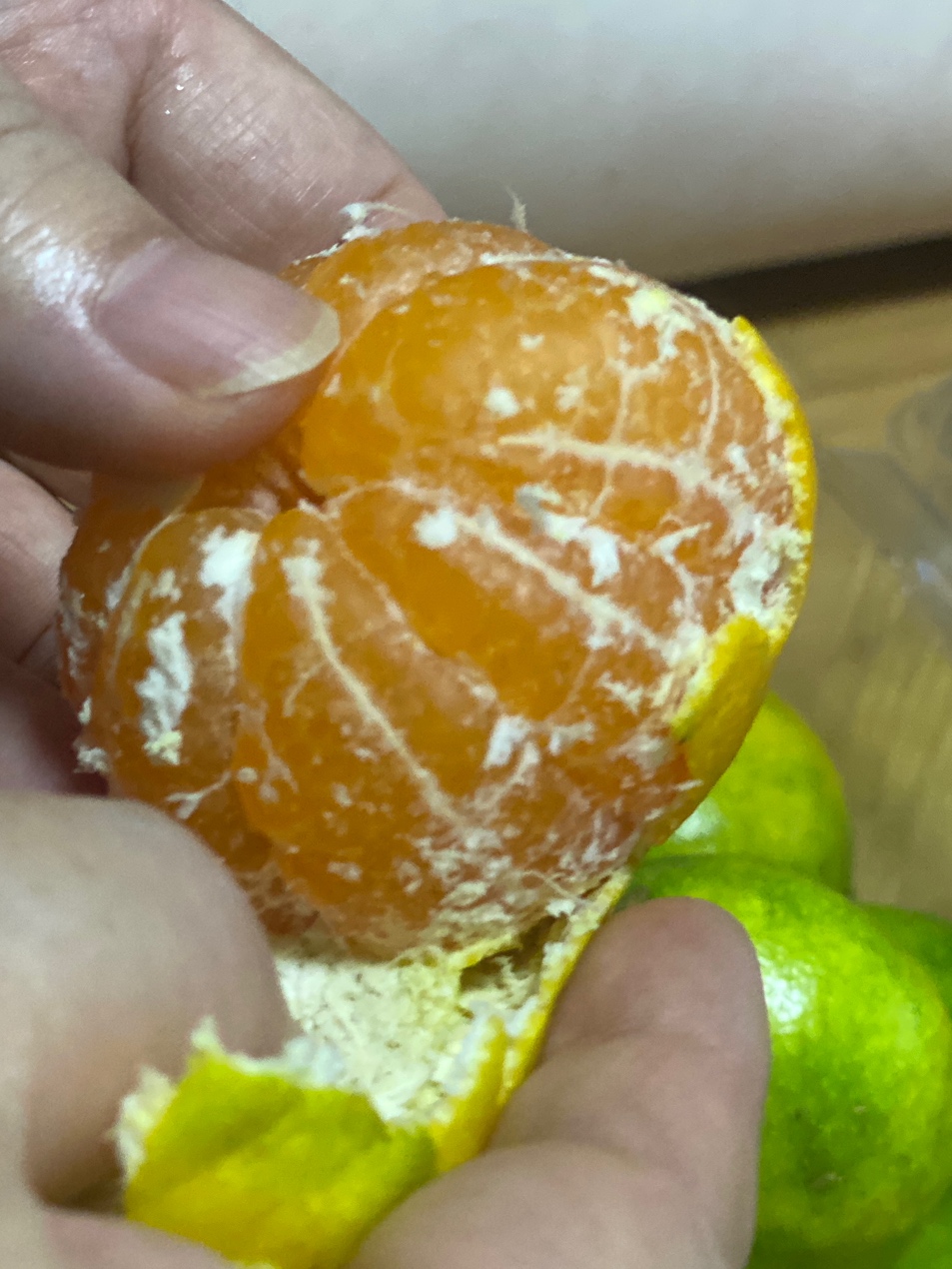 템파머 이미지