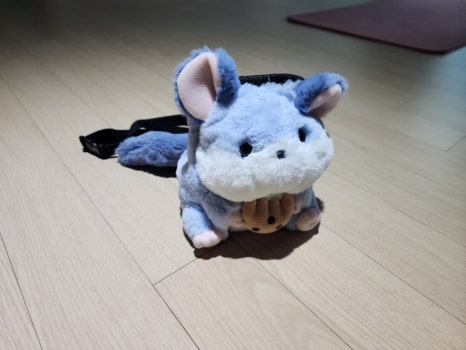 밍백 이미지