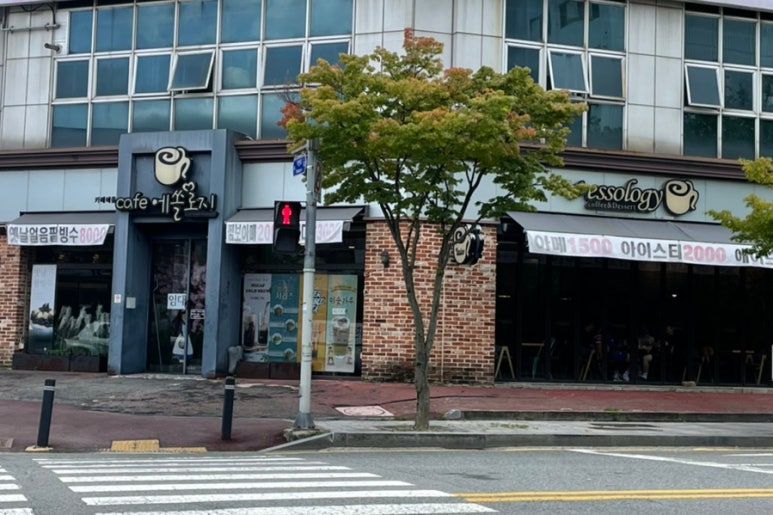 에쏠로지 이미지