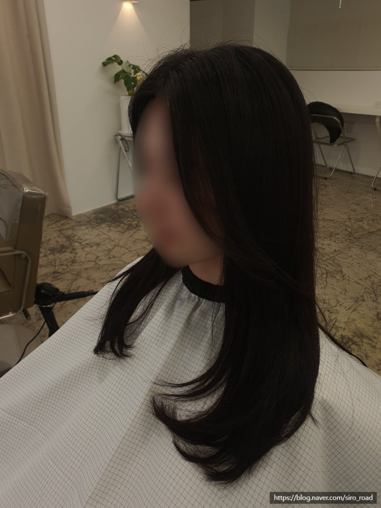 리리헤어 이미지