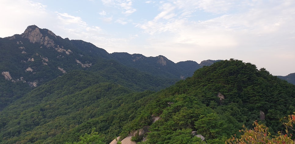 형제봉 정상 전망 이미지