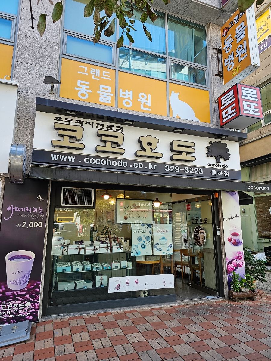 코코호도율하점 이미지