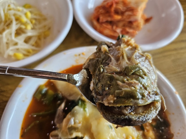 계양민물고기 이미지