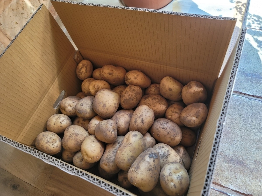 참소나무농원 이미지
