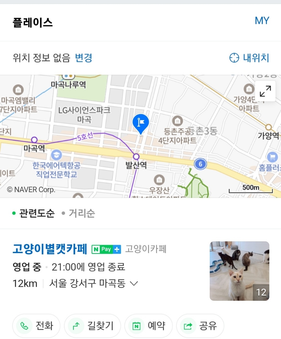 고양이별캣카페 이미지