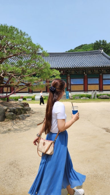 331로스터스 이미지