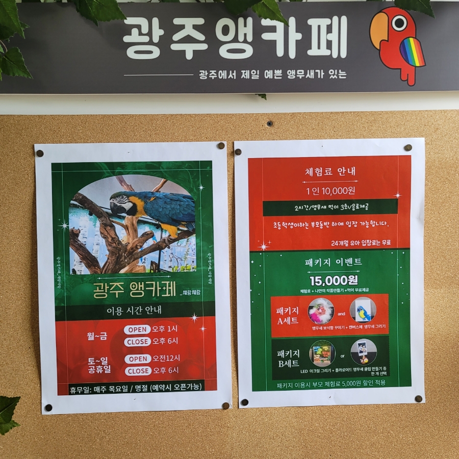 광주앵카페 이미지