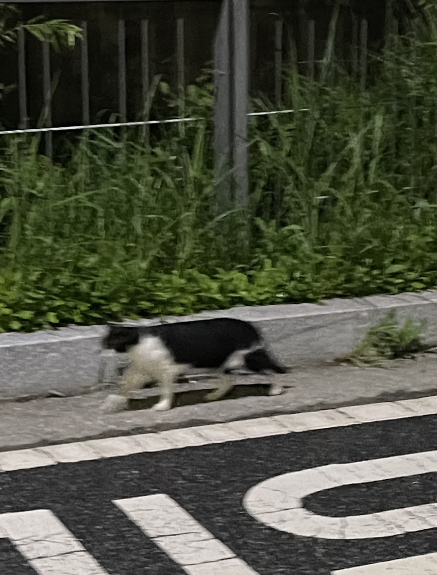 대도건어물 이미지