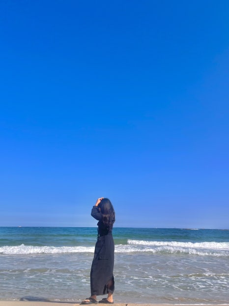 태시트 이미지