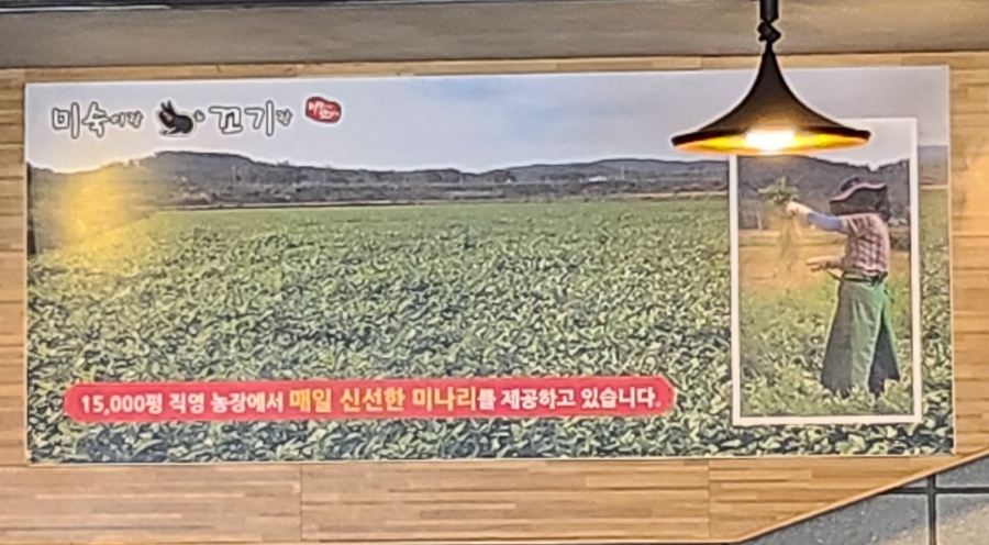 미숙이랑꼬기랑 이미지