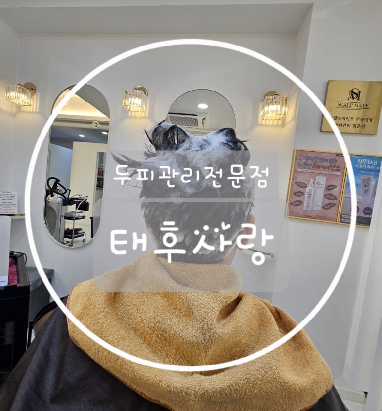 두피탈모태후사랑무전점 이미지