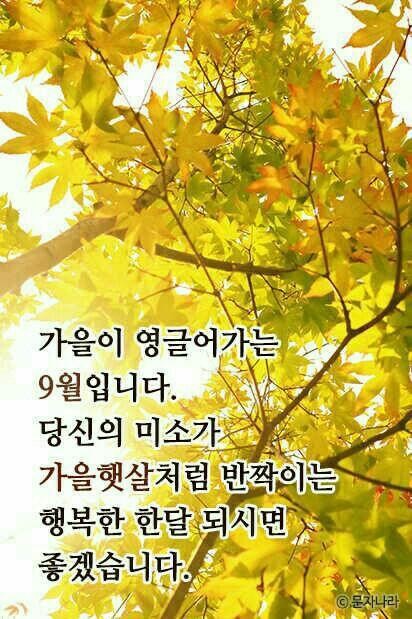 해찬솔(주) 이미지